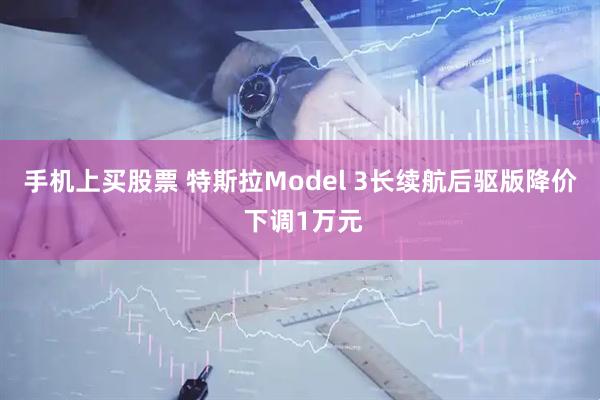 手机上买股票 特斯拉Model 3长续航后驱版降价 下调1万元