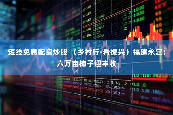 短线免息配资炒股 （乡村行·看振兴）福建永定：六万亩柿子迎丰收