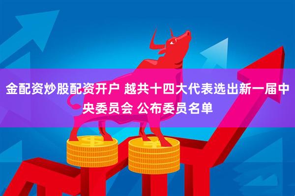 金配资炒股配资开户 越共十四大代表选出新一届中央委员会 公布委员名单