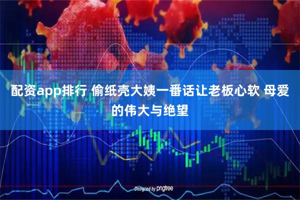 配资app排行 偷纸壳大姨一番话让老板心软 母爱的伟大与绝望